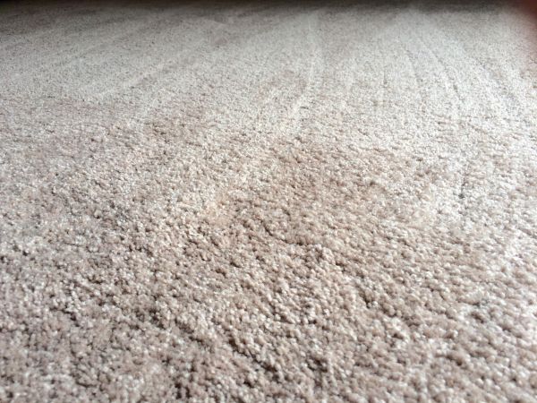 Plush Carpet Installation in Portsmouth